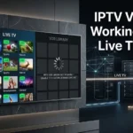 IPTV VOD not working while live TV plays