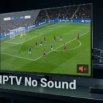 IPTV picture playing normally on a TV while audio is missing